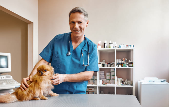 Vet with brown dog